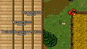 Vena Mine on screen