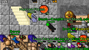 Bush-Knight on screen