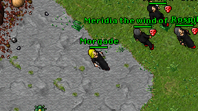 Morgade on screen