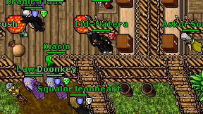 Cid-Natera on screen