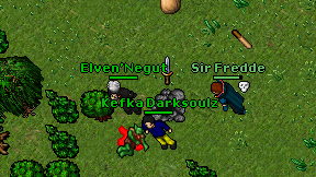 Elven'Negut on screen