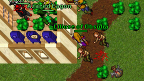 Liliuse of Obsidia on screen