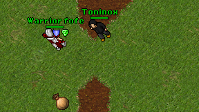 Toninox on screen