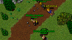 Holly lodge on screen