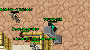 Valwodja on screen