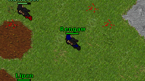 Rengaw on screen