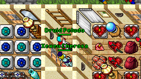 Druid Peludo on screen