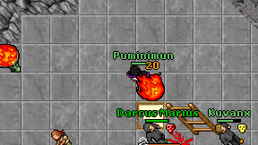 Puminimun on screen