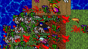 Mage Woody on screen