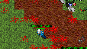 Crash-san on screen