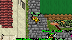Ricvis on screen