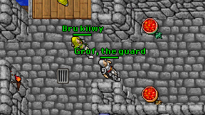 Bru kiiwy on screen