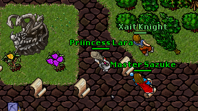 Priincess Lara on screen