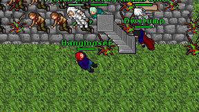 Hanglooser on screen