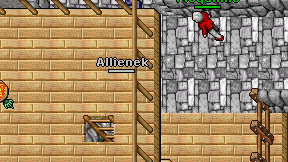 Allienek on screen