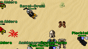 Royal-Druid on screen
