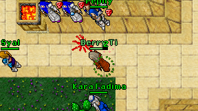 Berry Ti on screen