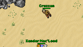 Cruzzan on screen