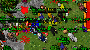 Harvezd Treehugger on screen