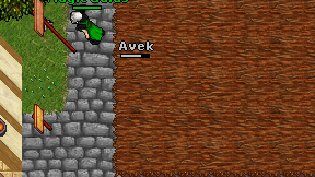 Avek on screen