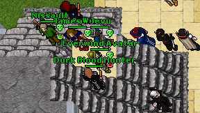 Everwind Avatar on screen