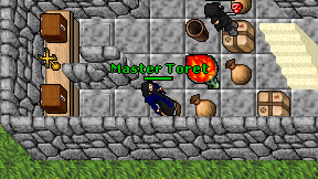 Master Toret on screen
