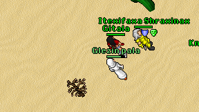 Glezin pala on screen