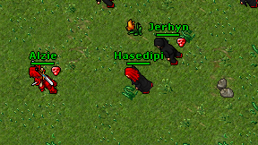 Hasedipi on screen