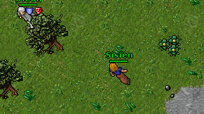 Sisien on screen