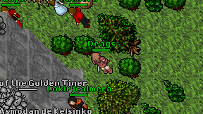 Deags on screen