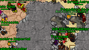 Knight'Assassin on screen