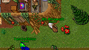 Ah Ahamult on screen