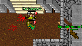Pader on screen