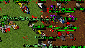 Zuis Druid on screen
