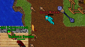 Quin Widas on screen