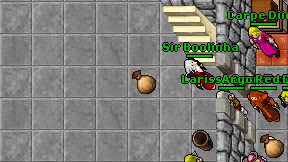 Argon Toman on screen