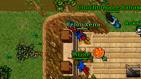 Arixe on screen