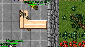Fox Duty on screen