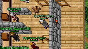 Catfurios on screen