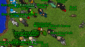 Elinhoiel on screen