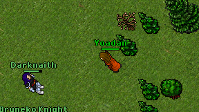 Yoadan on screen