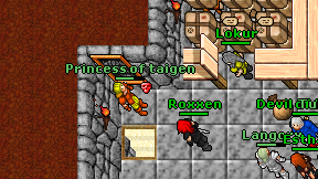Princess of taigen on screen