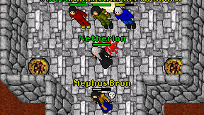 Netherlon on screen
