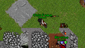Chin Fama on screen