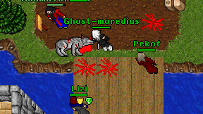 Ghost-moredius on screen