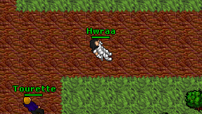 Hwraa on screen