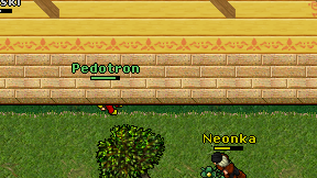 Pedotron on screen