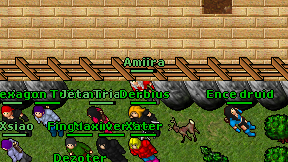Amiira on screen