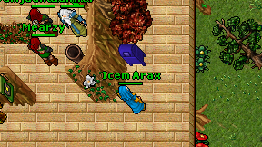 Icem Arax on screen