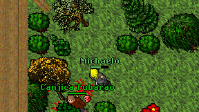Michaelo on screen